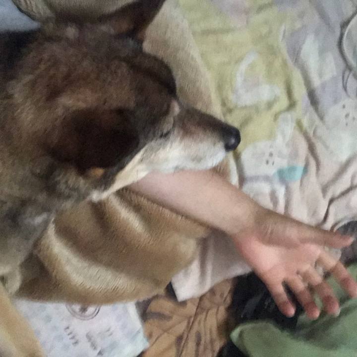 19e391fd f140 42e4 a4d5 459bd1f0f101 1530921393143