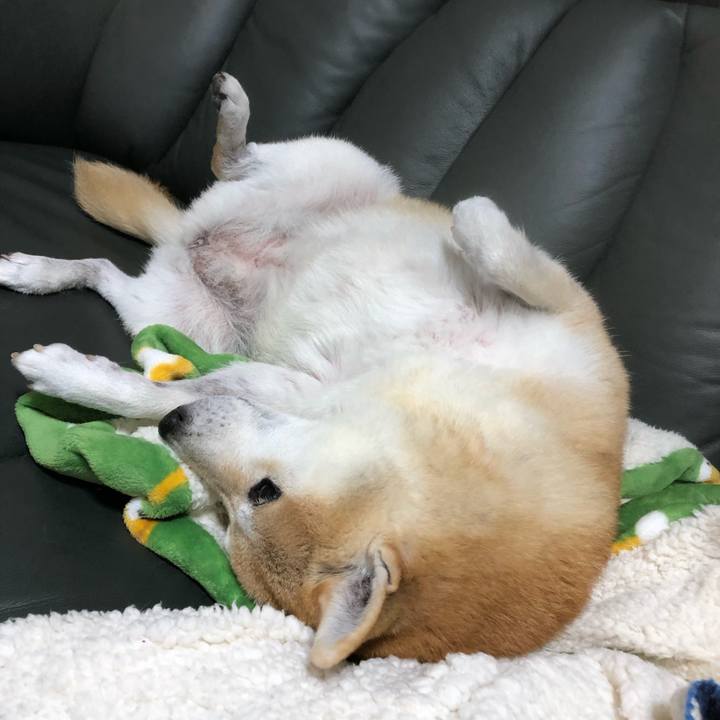 19e39430 52b9 4ff0 8182 5fde9b01b231 1573479408216