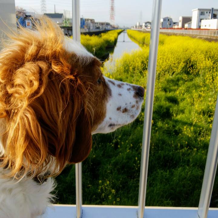 19e3aea9 35e5 4815 ae19 24a29d1bf606 1555290053415