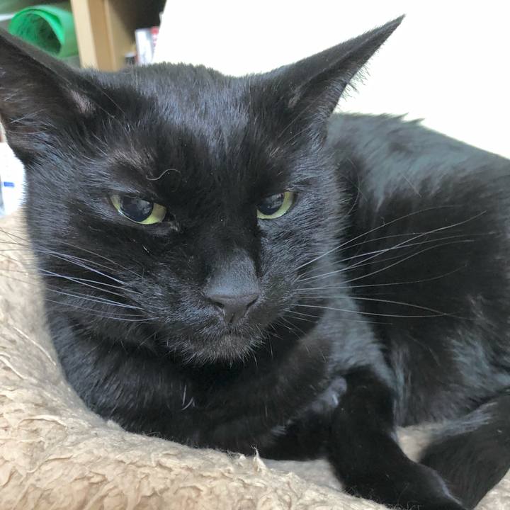 19e3c2ee 7ed7 4777 9cfb bcde5566b74c 1611575748888