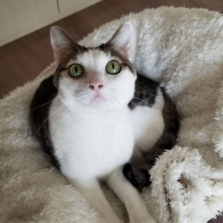 19e3dd02 a10f 4c88 8586 356149aa1313 1551484289868