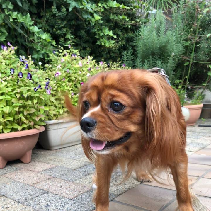 19e3e07e c7a3 4f64 8422 0deb38ec0062 1569276900797