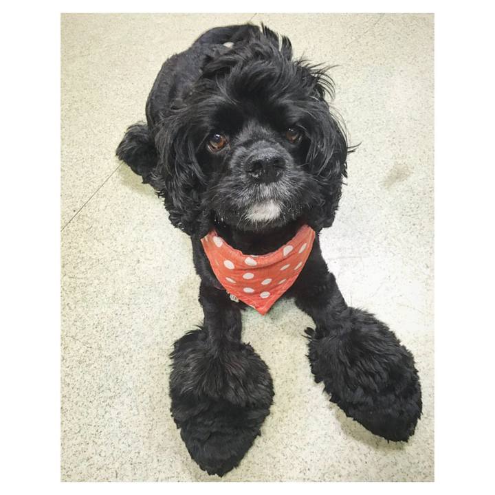 19e3fe5a 697a 48e7 be6e 0da18b812dfa 1542815986839