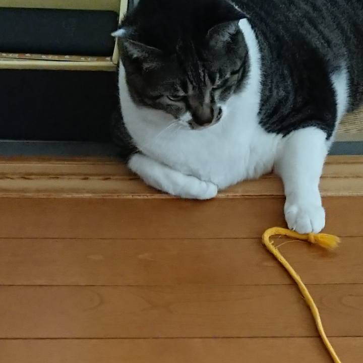 19e40757 f92c 4128 b25e 377eac13e0d3 1563506948332