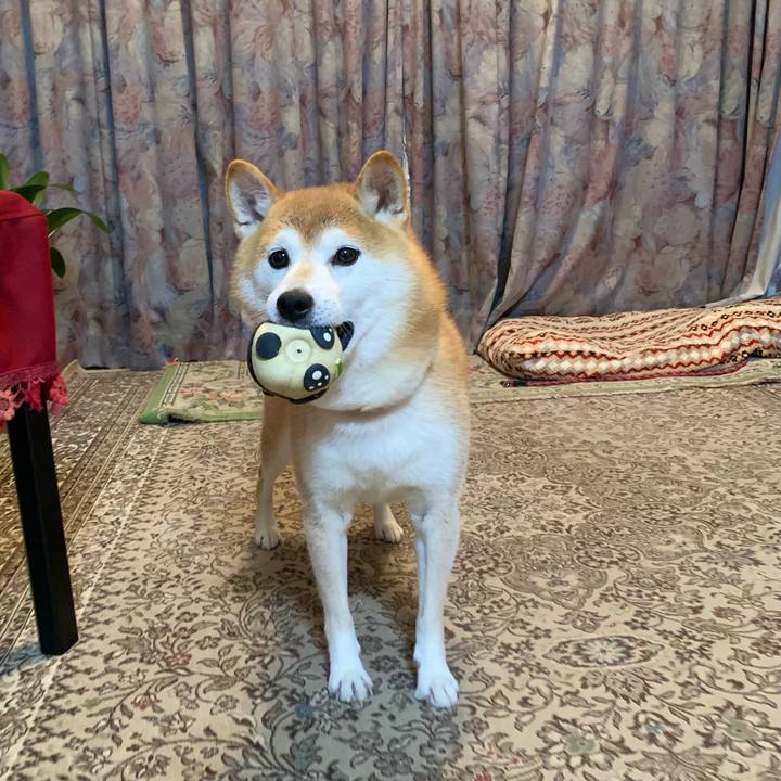 19e437c9 c15e 4964 b897 fcfa01cbcf87 1665659516924