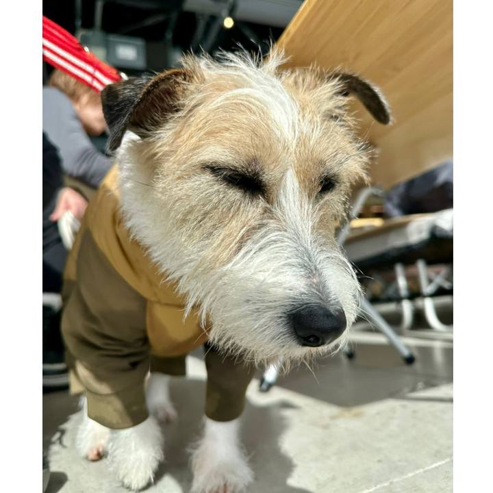 19e43fe7 717a 4baf aa07 31e5651e07ae 1738312983535