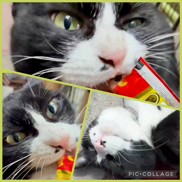 19e4498a 967d 4ccf a196 133f8c0780d3 1774013220467