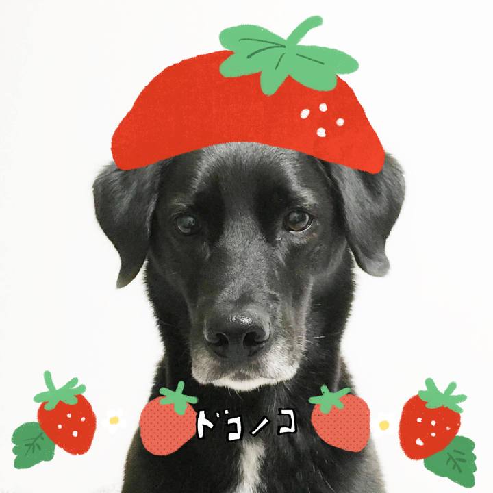 19e475db f2e8 4ab1 b484 310a98fa693f 1775391009386