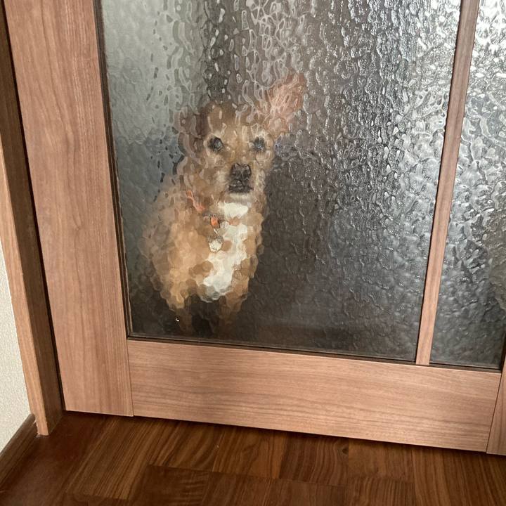 19e48e6b ede8 4ee3 be00 9b64771007a9 1644213542716