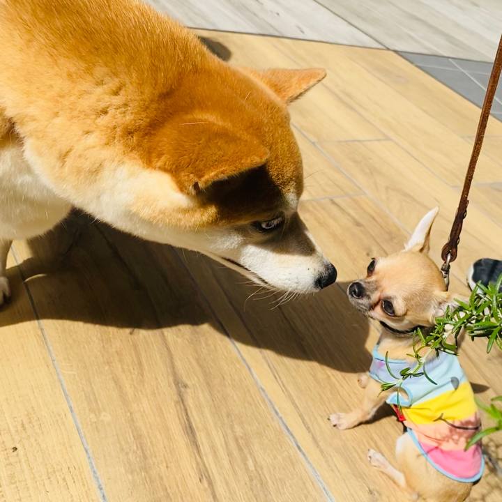 19e4a718 86d8 483a a266 9b7a345bc203 1601790828276