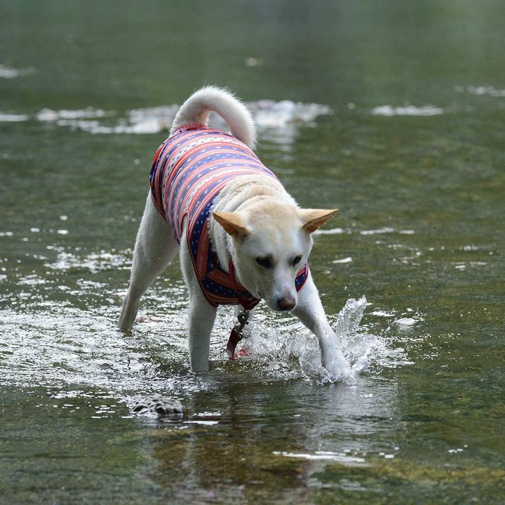 19e4bf7c c2f8 4556 b318 91c2f0f44626 1532041044043