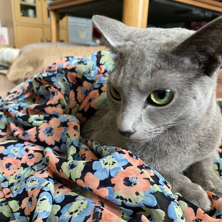 19e4d5f4 79c1 43c1 adfb a862a6b8504f 1627177858489