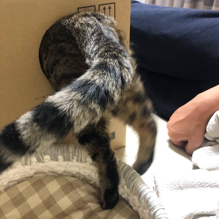 19e4ff88 04d4 4d24 b0f6 aec5fee11a66 1597555489443