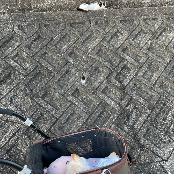 19e50947 da51 4690 9ea5 00fdea395dae 1662989180030