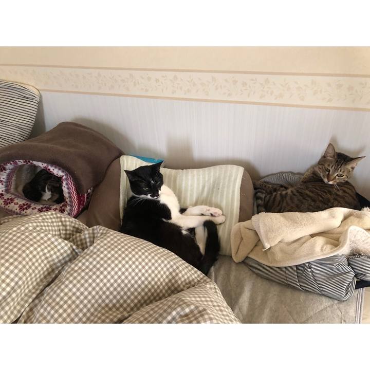 19e51eed 6a43 4189 9ea1 985fe7d99a69 1639170705138