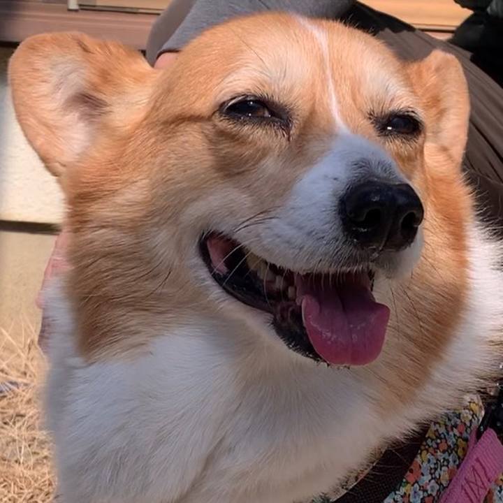 19e5210f 01c8 4d84 b809 9d1a70a5fcec 1675571852713