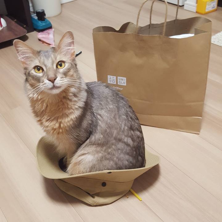 19e54221 86fe 46bc afa9 6c041aa2eb38 1591701307668