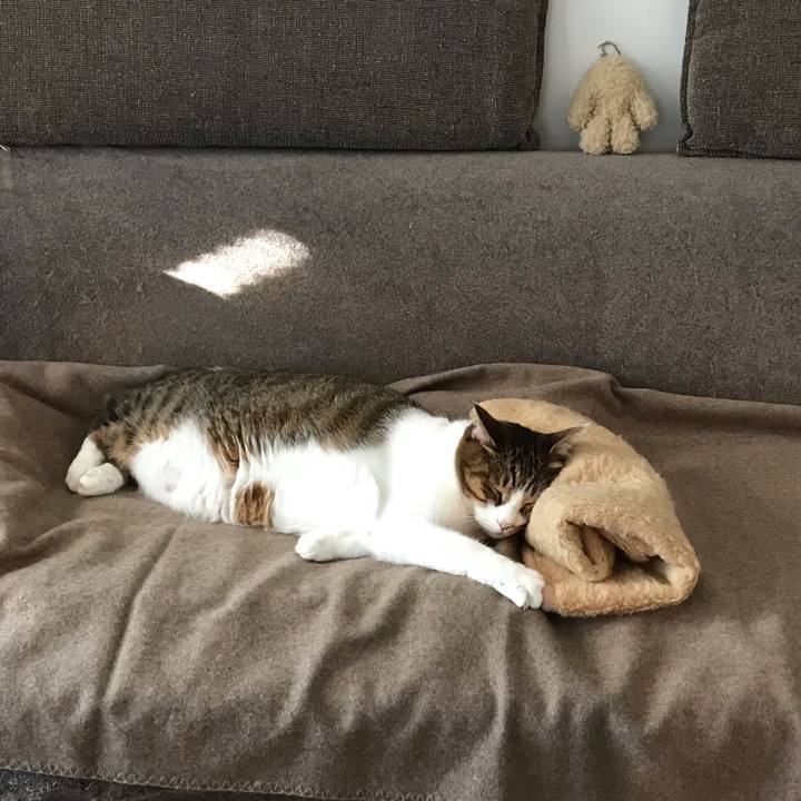 19e548df f62f 427b 9894 b47501f0733b 1608084605528