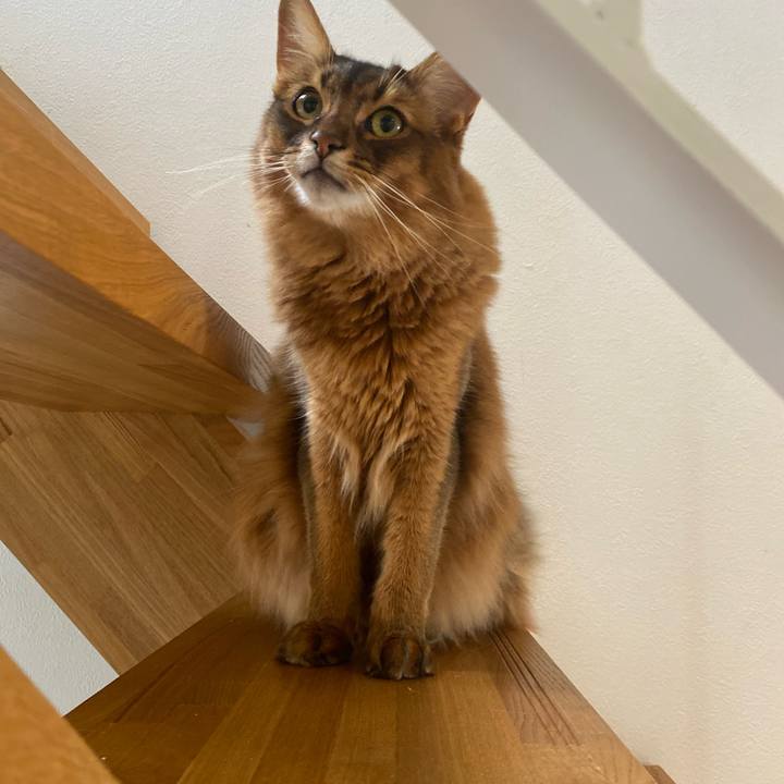 19e556bb 0513 4df7 9e9b 6cc8dfcfa985 1697888847779