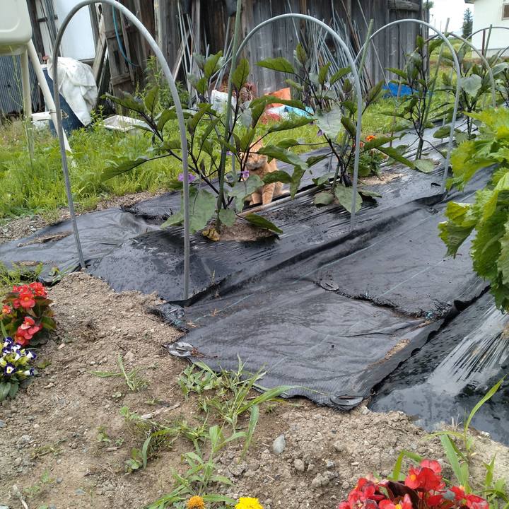 19e58ce9 b4c4 41c9 be79 6bfdc64f5299 1687385648629