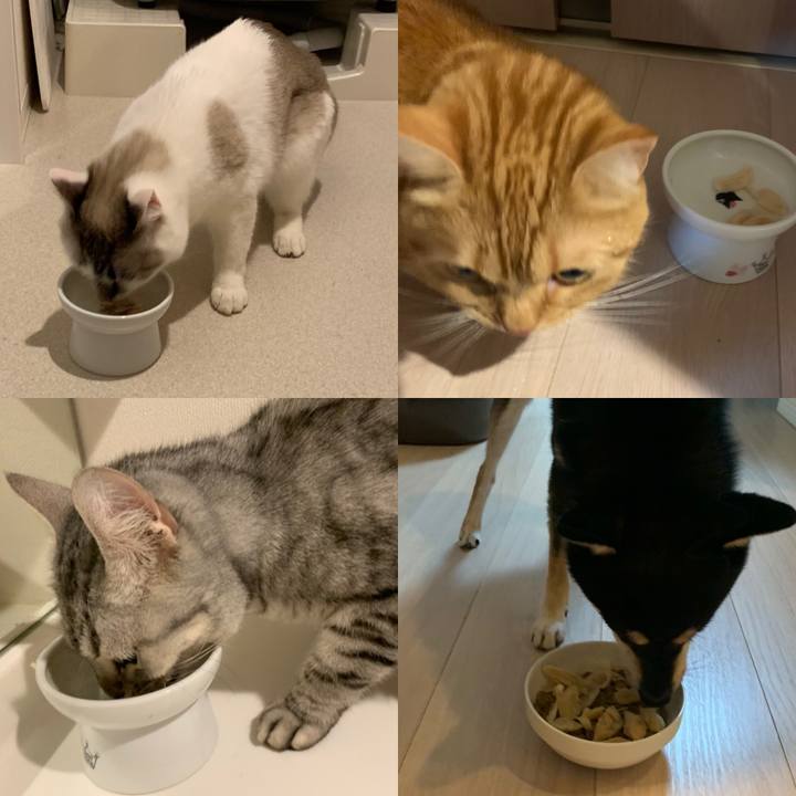 19e5a96c 76c0 4031 813a 854a622b87de 1577010170357