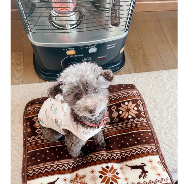 19e5ae31 3b34 4a6b 8f73 5d4de4b194ff 1678746293065