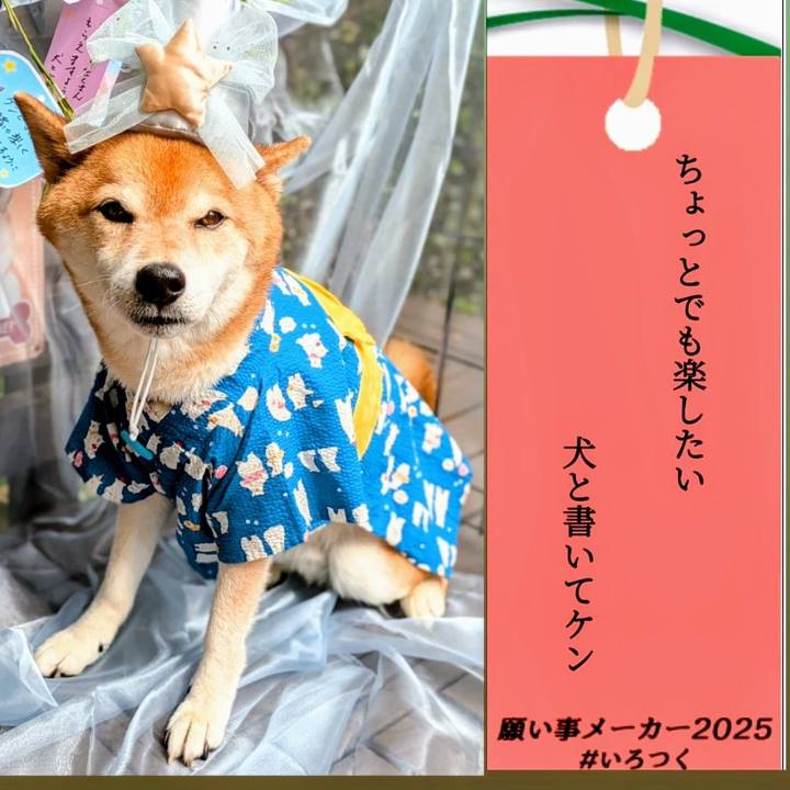 19e5baef df6a 4747 9d41 df66dbfba7f3 1751813700636