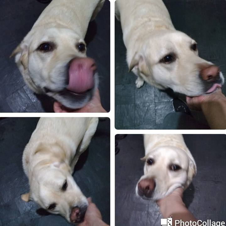 19e612ce 4f0d 415d 8c25 fd67e0932816 1628529753396