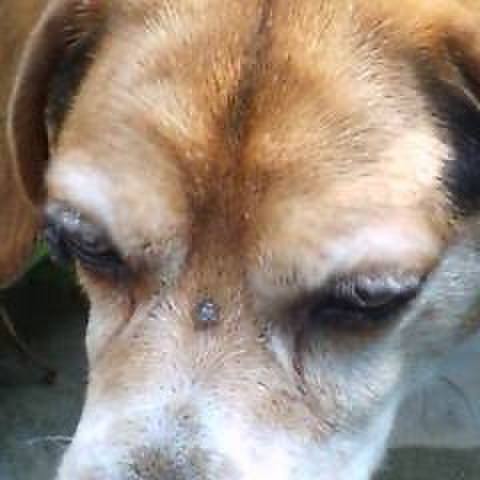 19e61f47 9975 4606 b262 09064797f26c 1727740281311