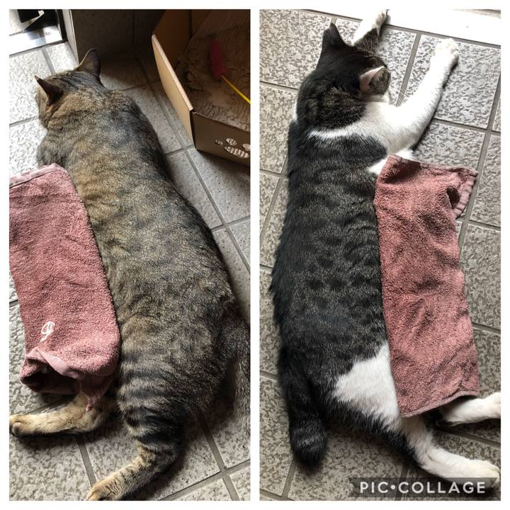 19e644ce 442b 4d73 960b 6744f98d87e1 1566137182199