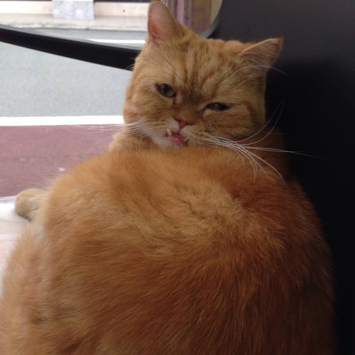 19e66a8e 649a 4b86 a1fe 12d29083bc8d 1511571068313