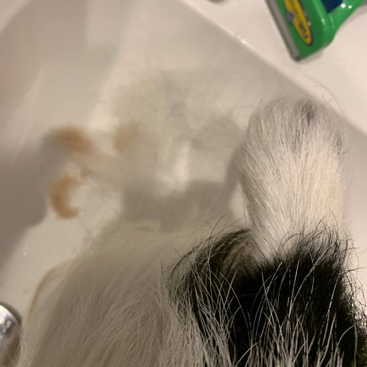 19e693b7 0455 4b01 9444 d165f232ecbc 1629707460800