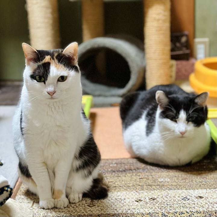 19e69ade e0d3 42c7 bdba 8cb72ba359d8 1674956342737