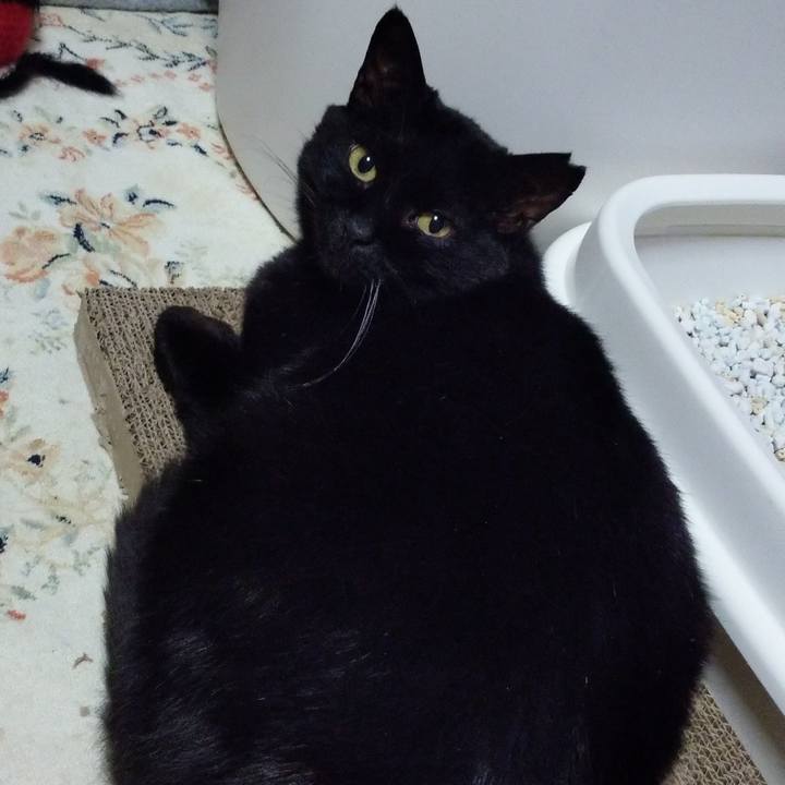 19e6b8ce aa2a 42b5 9f93 55b535576ab5 1618573159469