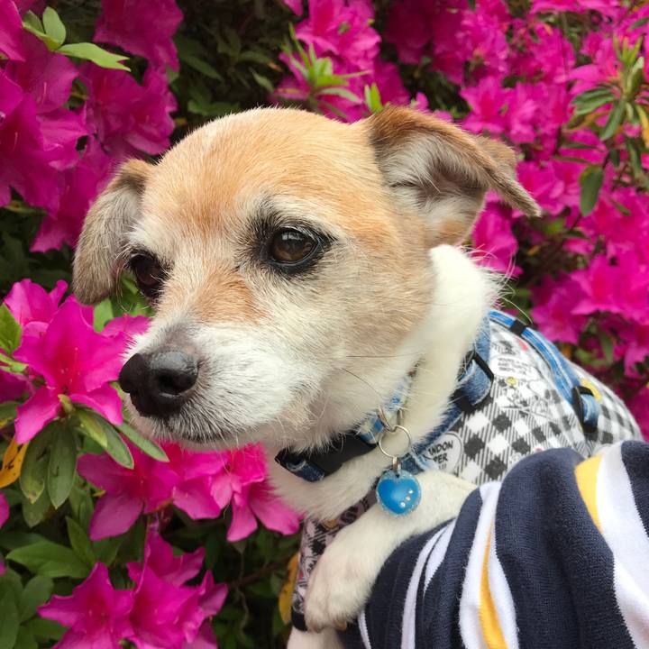 19e6bda6 4f86 41b6 b421 abb9c88ecfdc 1650777770701