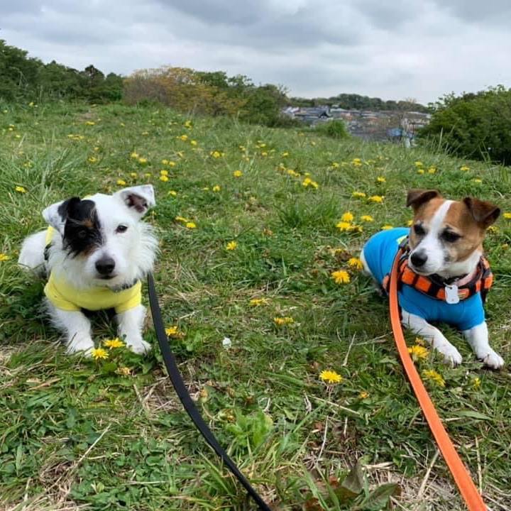 19e6f040 afa1 4979 b8aa bf3f45c2c49e 1650541074480