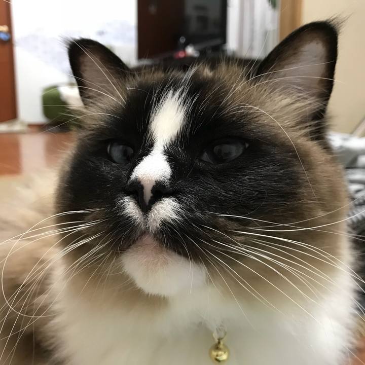 19e71059 5231 49dd 963b eb896178b14c 1519043514380