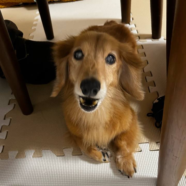 19e73f08 b81e 4b76 9d32 adac02c9a4bc 1669721286043