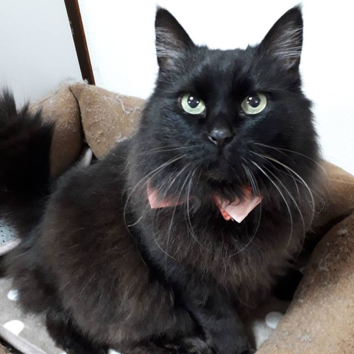 19e743fd 1baa 464a 92ee 490679daacf8 1545913128643