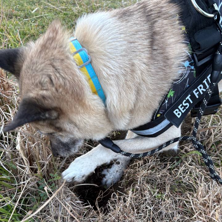 19e7504e 4f87 44cd b0ce f6993cc05859 1739263230457