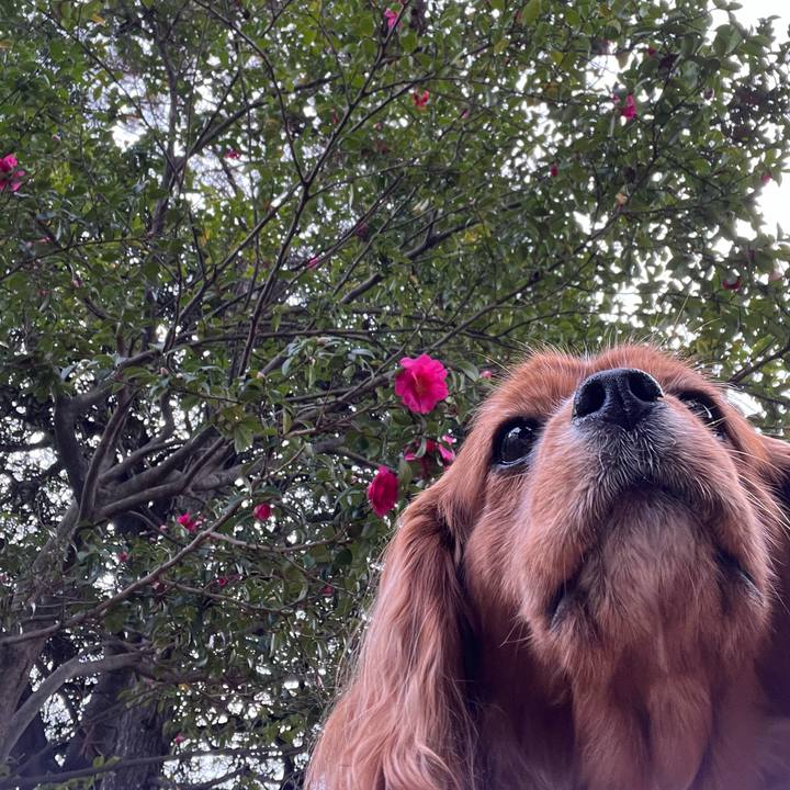 19e7661b 04cf 4436 a3ac 89e6be7164a1 1669420547298