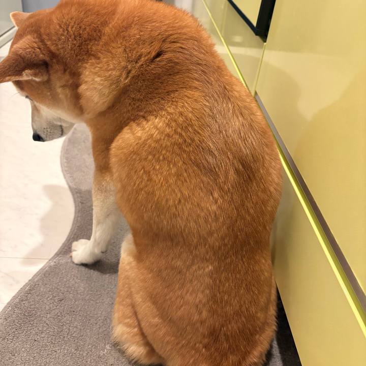 19e7befb c24d 4e6f 8405 a5b9a7e7dd05 1769550074314