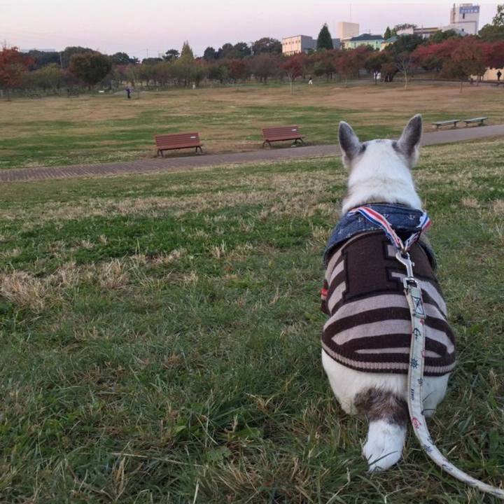 19e7c39e 140c 43cf 9282 4b29baff2573 1763778638771