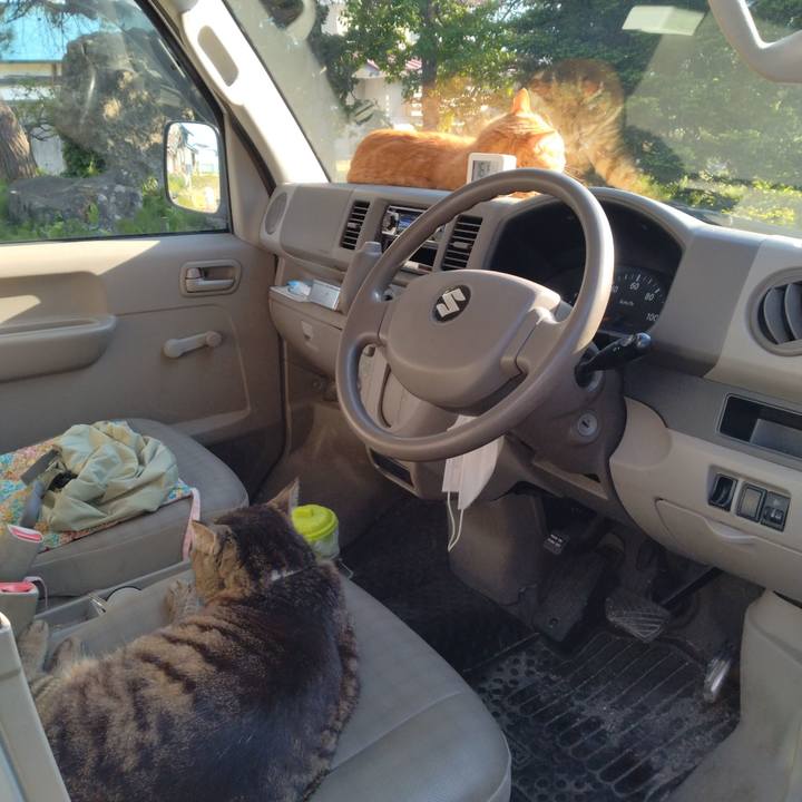 19e7c8f1 cf9d 4fd7 814c f15e895cc37a 1747124597812