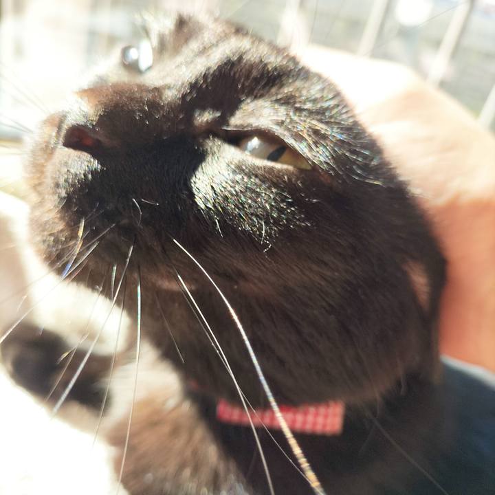 19e7db05 6d22 43c1 a5d1 6fbf14e1dd1b 1697933859891