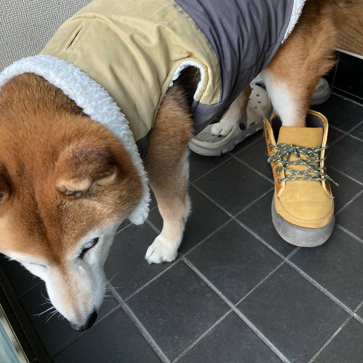 19e7e5ee ef26 42ac 9ee3 5787bd8a923f 1738917174324