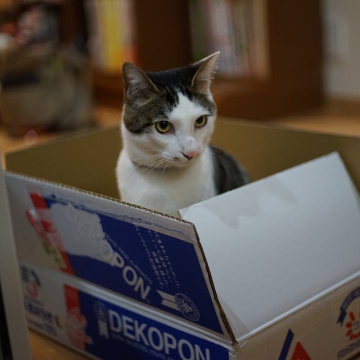 19e7e5fc 3c88 4552 b1a2 bca6aabb1e1c 1520845837668