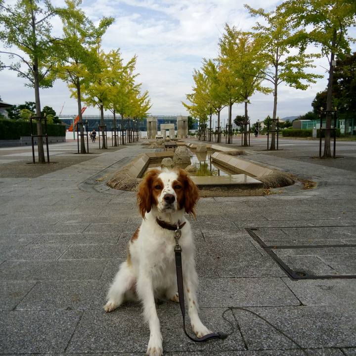 19e7f3cc 3a7b 46fe bc89 2b79d5a91fc2 1508830985579