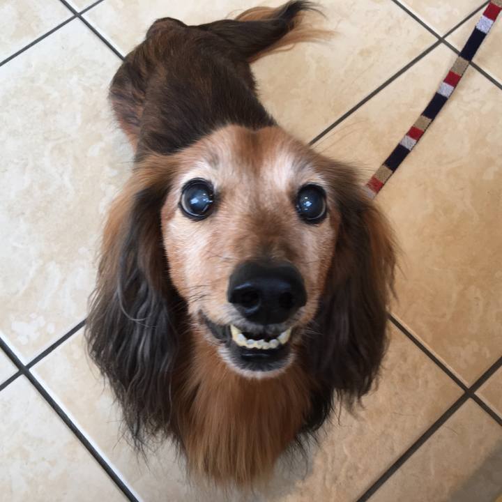 19e82a3f 1a3a 4675 987e e00ee5613af0 1519813830360