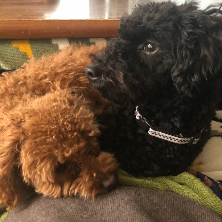 19e83574 a9bc 468a 81e1 effd43cc24f2 1517118902423